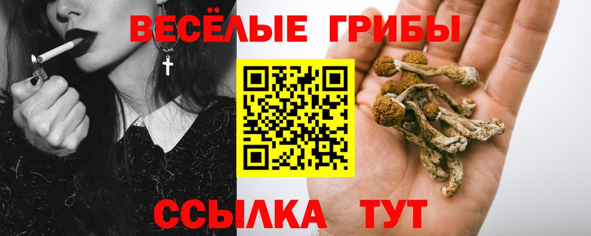 Галлюциногенные грибы Magic Shrooms Вязники